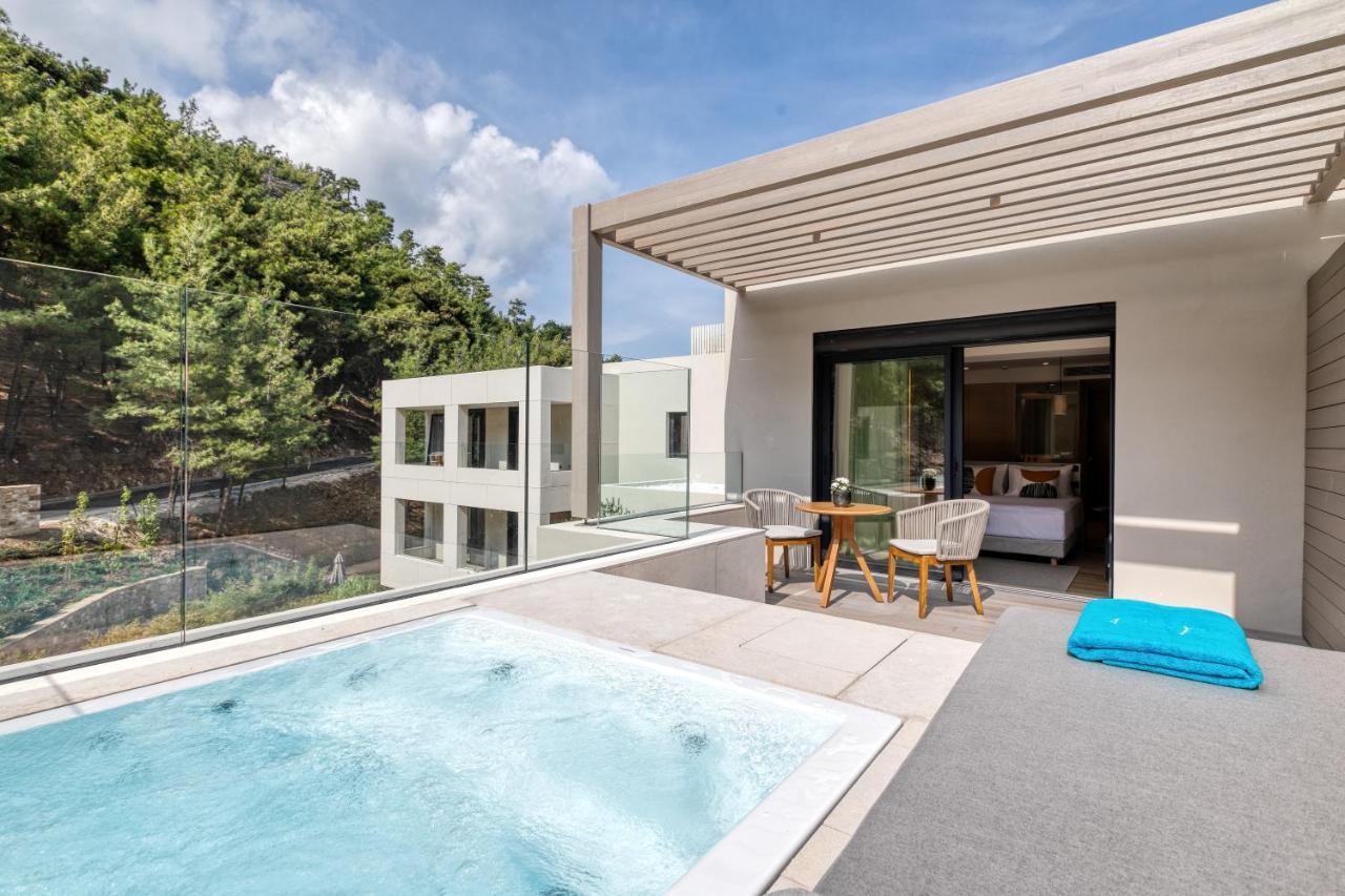 Vathi Cove Luxury & Отель Хриси-Амудия